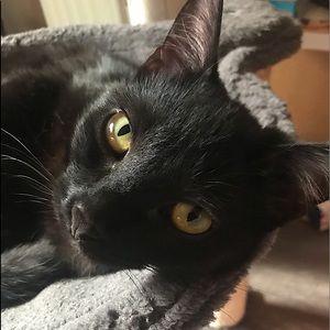 Meet your Posher, Tessa